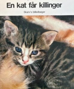 En kat får killinger