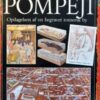 På sporet af Pompeji bog for børn
