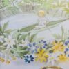 Tommelise Elsa Beskow