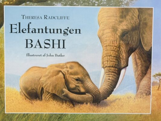 Elefantungen Bashi