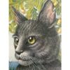 Kattene på sommerøen