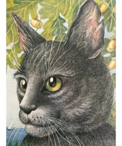 Kattene på sommerøen