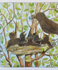 Turdus og Merula