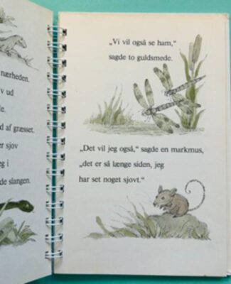 Vennerne Frø og Tudse