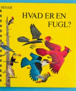 Hvad er en fugl?
