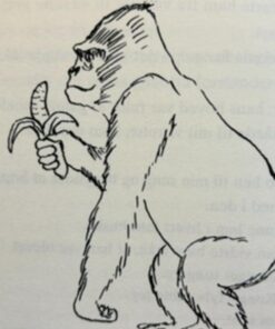 Min ven Kong