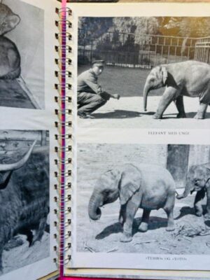 De smaa i zoo